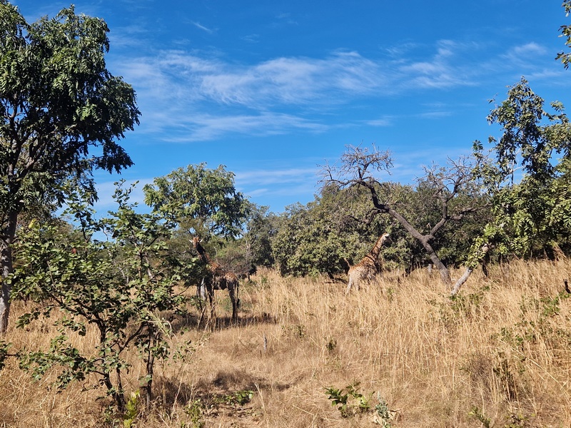 20251225_111437 (Kopiowanie).jpg