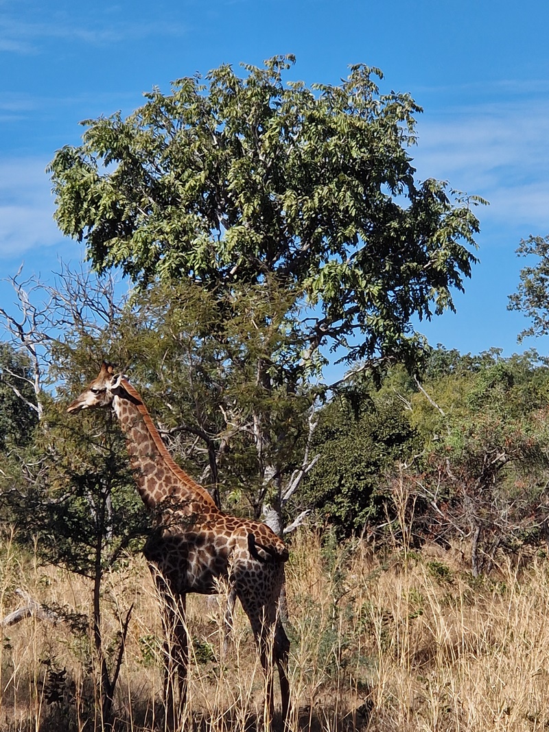 20251225_111454 (Kopiowanie).jpg