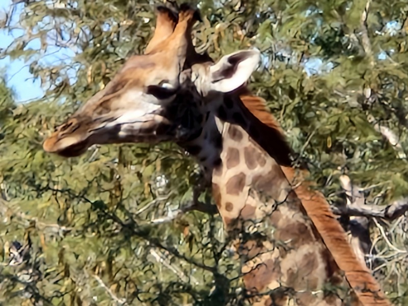 20251225_111515 (Kopiowanie).jpg