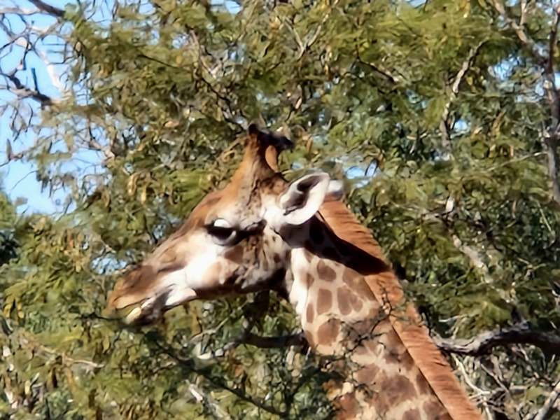 20251225_111740 (Kopiowanie).jpg