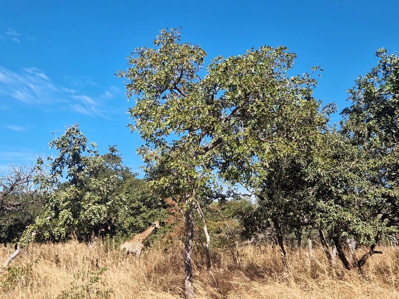 20251225_111800 (Kopiowanie).jpg