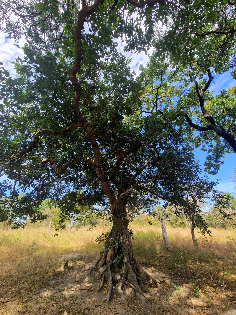 20251225_112334 (Kopiowanie).jpg