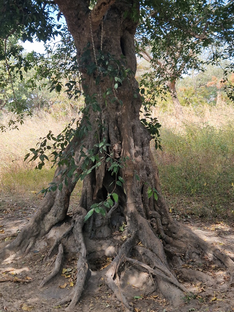 20251225_112343 (Kopiowanie).jpg