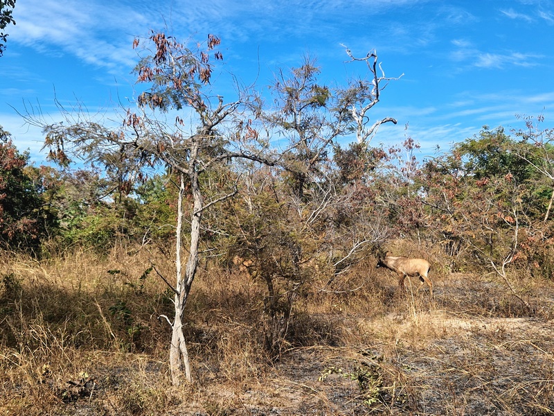 20251225_112723 (Kopiowanie).jpg