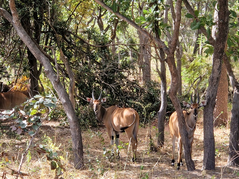 20251225_113029 (Kopiowanie).jpg