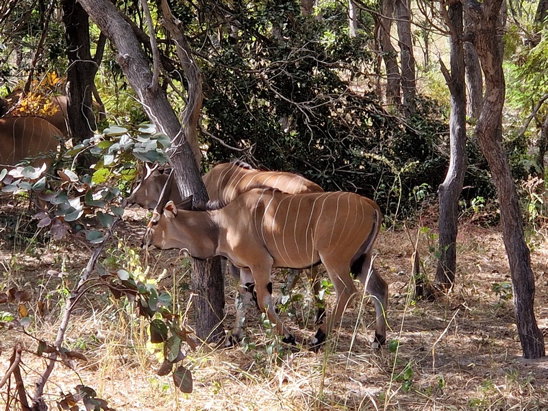 20251225_113039 (Kopiowanie).jpg