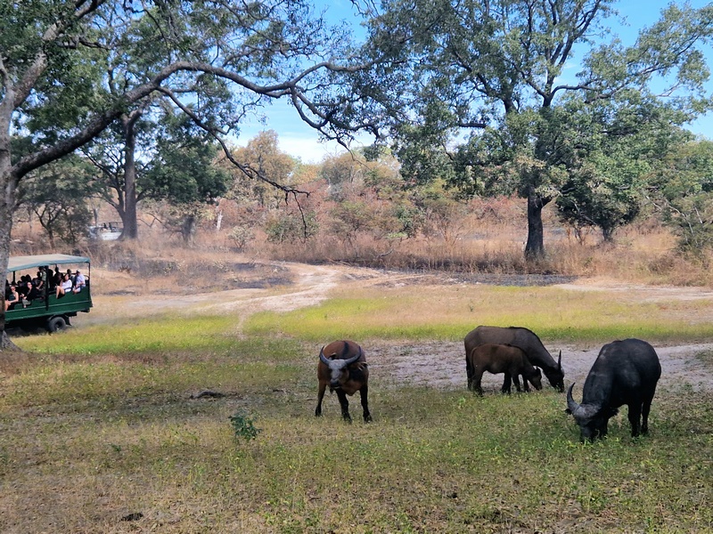 20251225_114241 (Kopiowanie).jpg