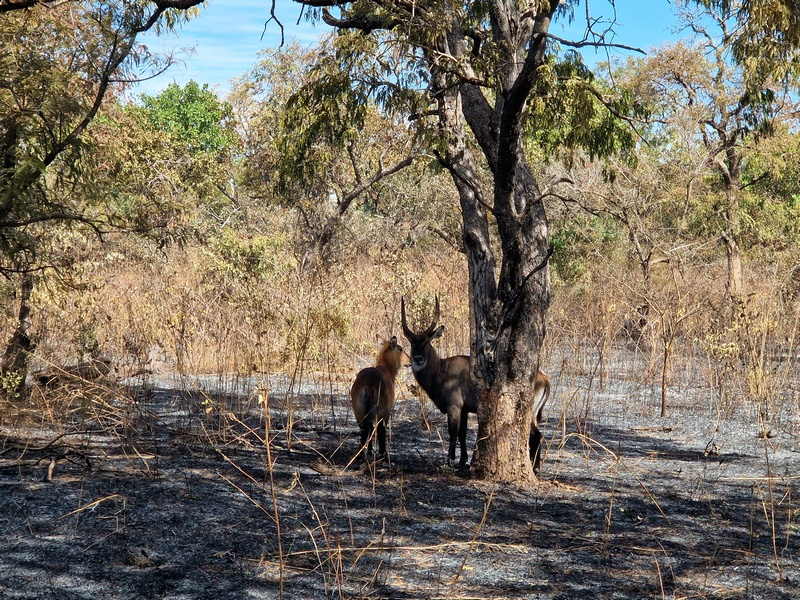 20251225_114517 (Kopiowanie).jpg