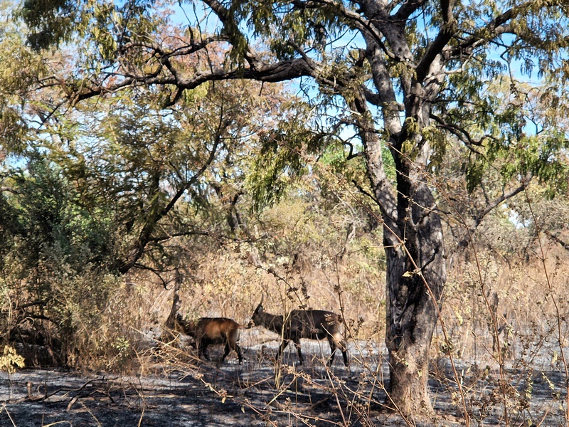 20251225_114550 (Kopiowanie).jpg