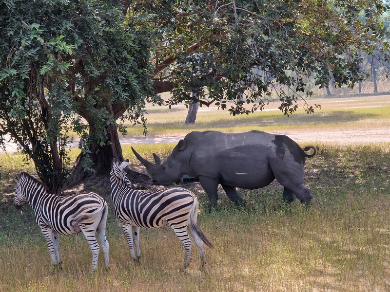 20251225_115000 (Kopiowanie).jpg