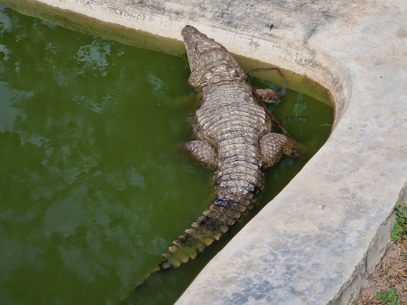 20251225_120126 (Kopiowanie).jpg