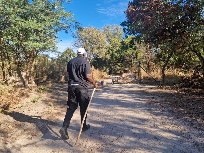 20251225_093137 (Kopiowanie).jpg