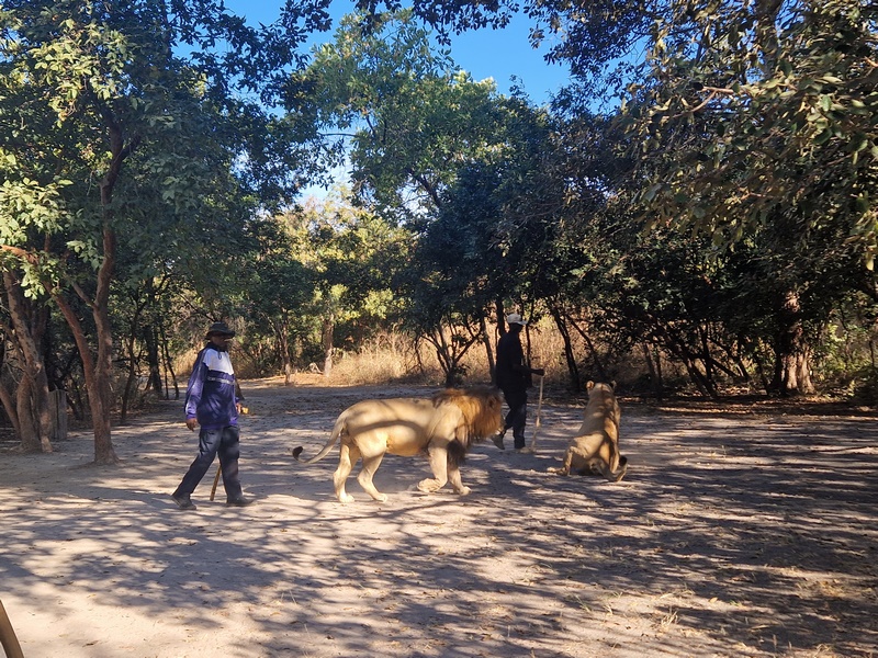 20251225_093534 (Kopiowanie).jpg