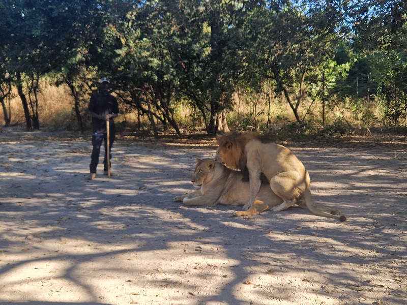 20251225_093543 (Kopiowanie).jpg