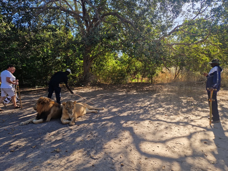 20251225_093631 (Kopiowanie).jpg