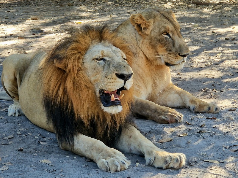 20251225_094944 (Kopiowanie).jpg