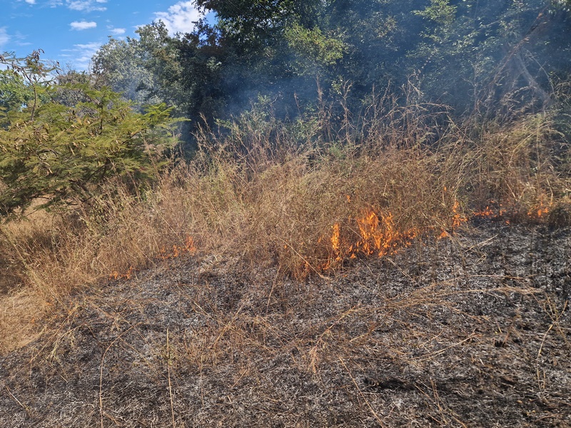 20251225_115623 (Kopiowanie).jpg