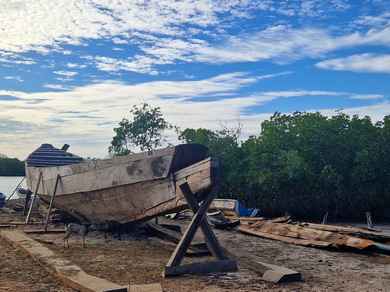 20251225_170318 (Kopiowanie).jpg