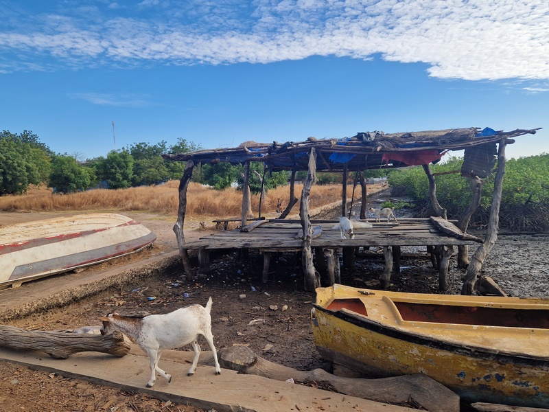 20251225_170326 (Kopiowanie).jpg