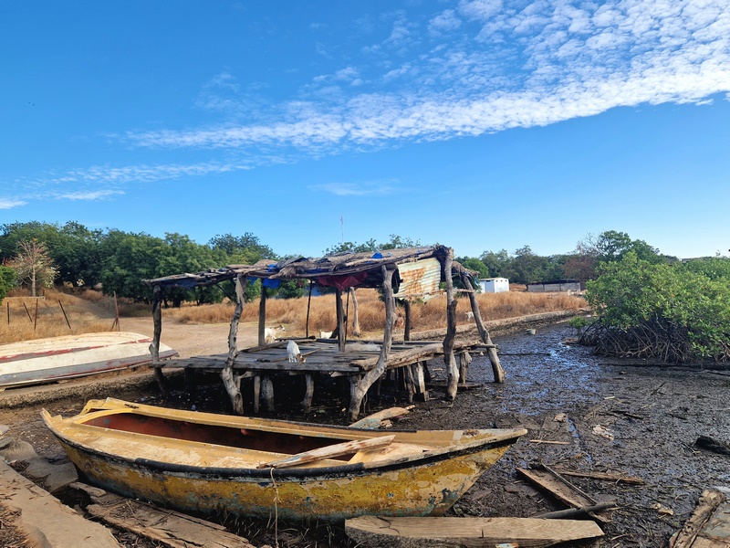 20251225_170336 (Kopiowanie).jpg