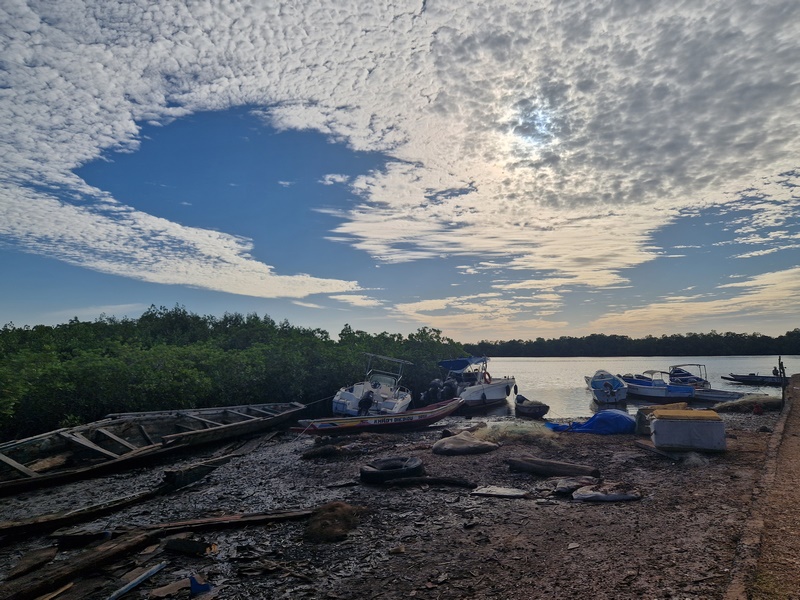 20251225_170339 (Kopiowanie).jpg