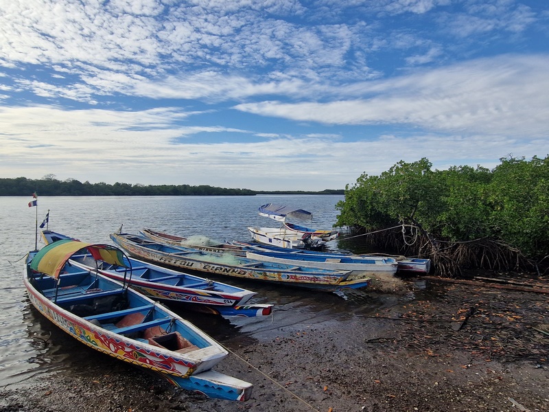 20251225_170416 (Kopiowanie).jpg