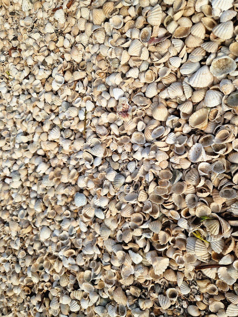 20251225_174301 (Kopiowanie).jpg