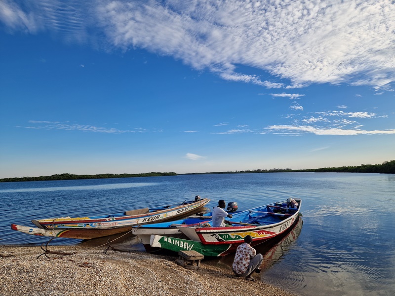 20251225_174423 (Kopiowanie).jpg