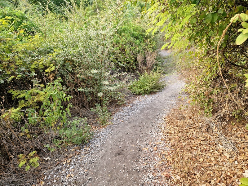 20251225_175125 (Kopiowanie).jpg