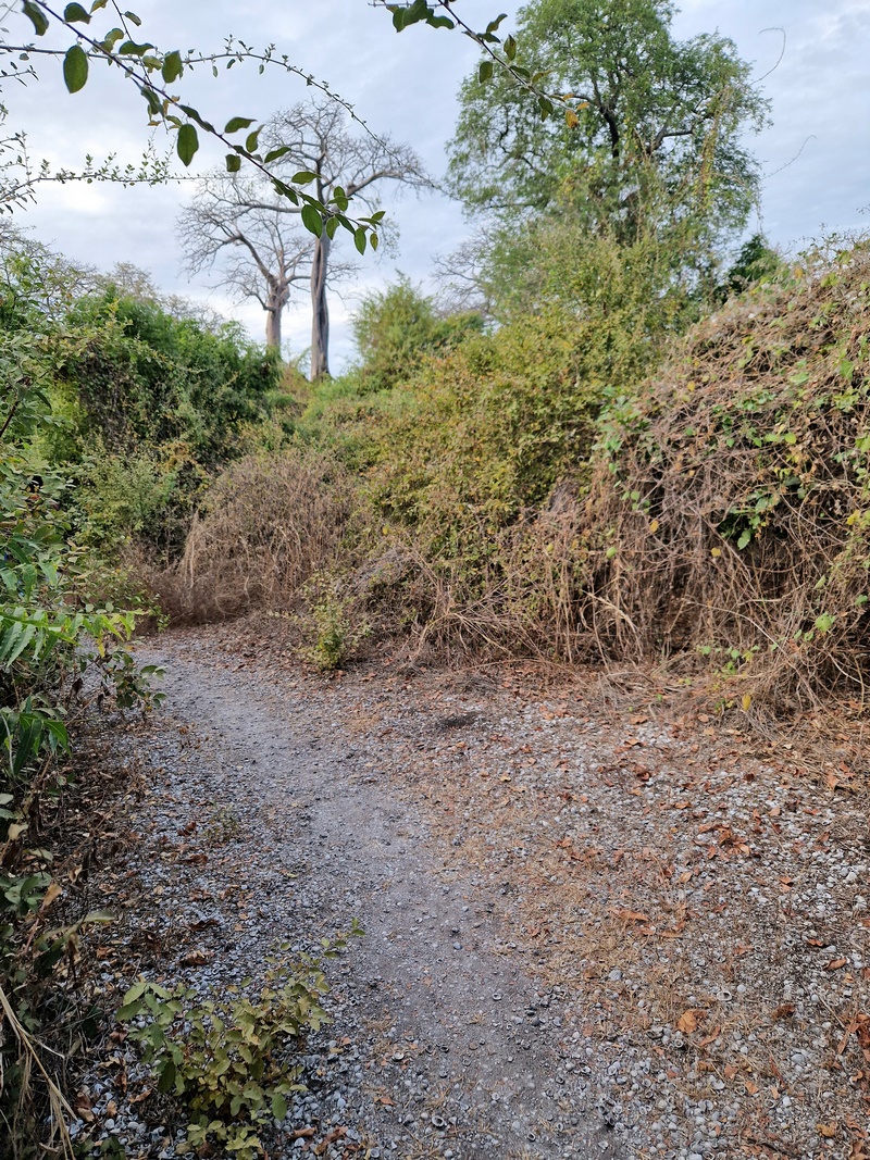 20251225_175139 (Kopiowanie).jpg