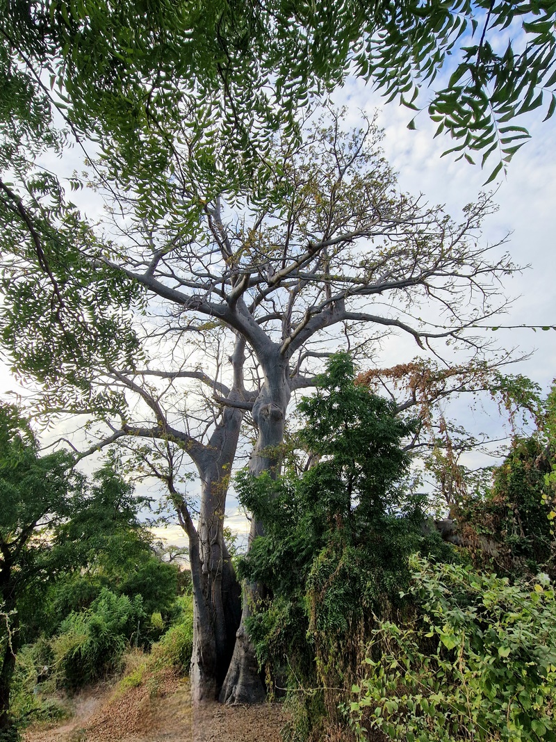 20251225_175438 (Kopiowanie).jpg