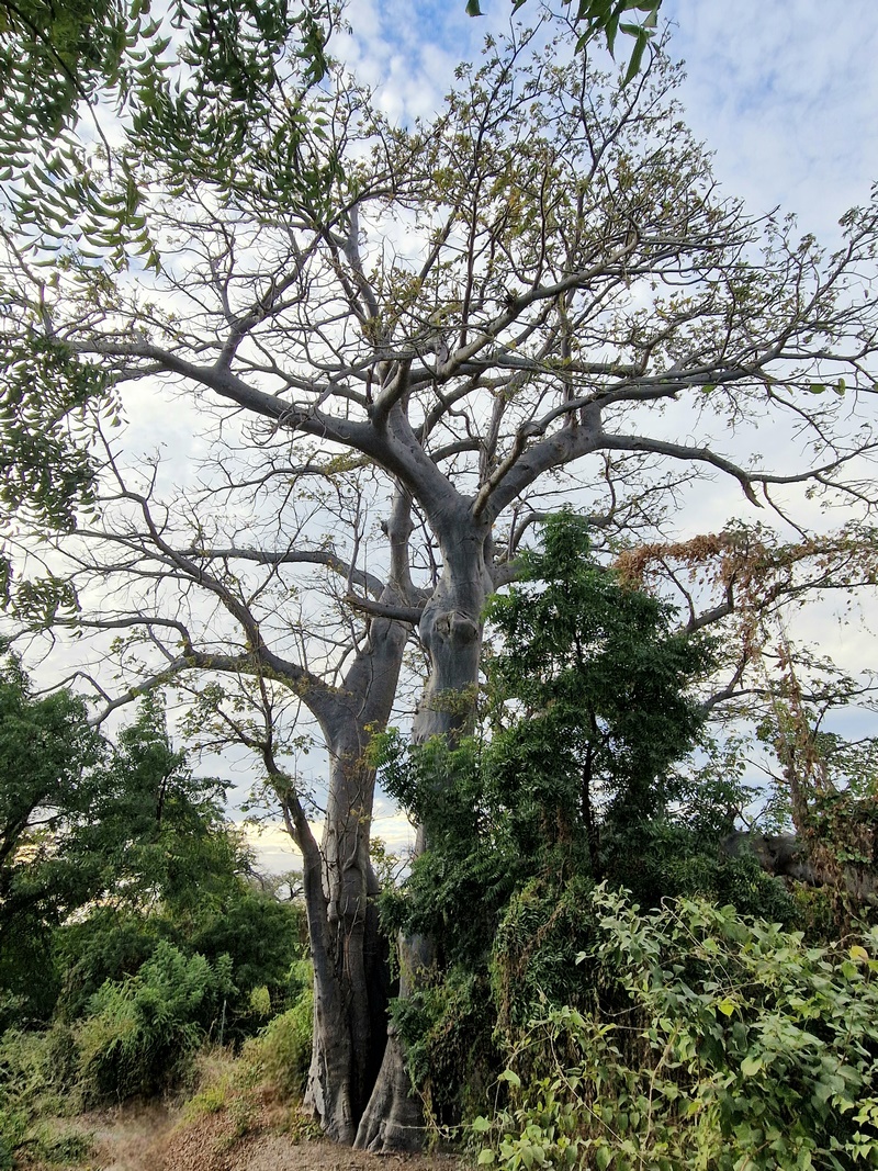 20251225_175917 (Kopiowanie).jpg