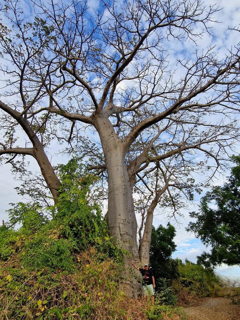 20251225_180032 (Kopiowanie).jpg