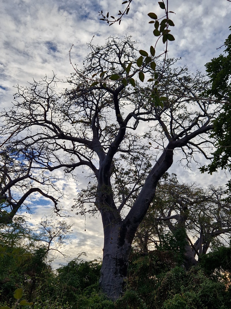 20251225_180114 (Kopiowanie).jpg