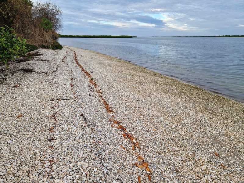 20251225_180725 (Kopiowanie).jpg