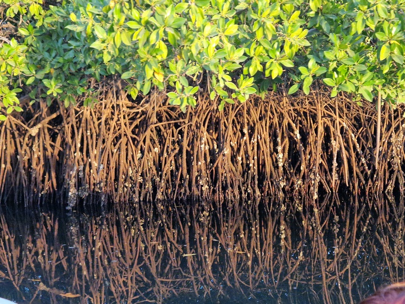 20251225_182827 (Kopiowanie).jpg