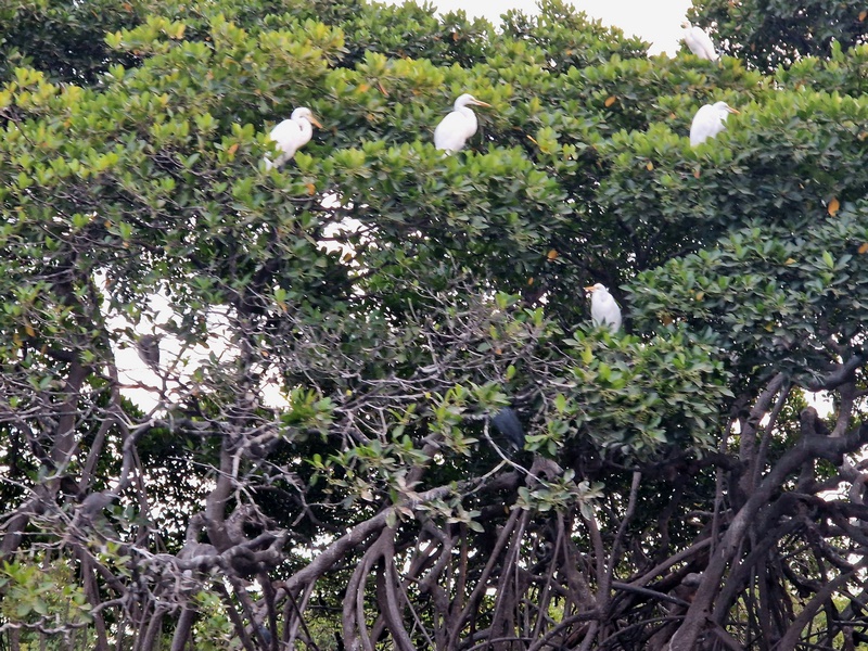 20251225_183024 (Kopiowanie).jpg