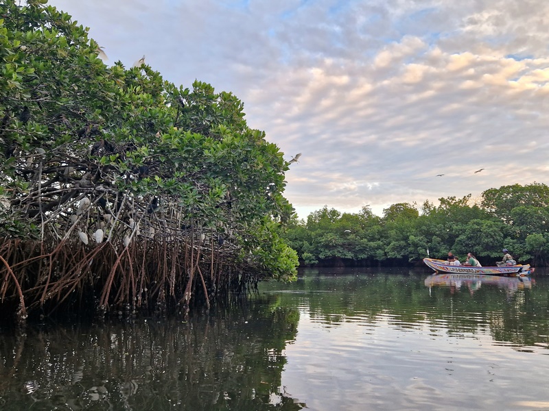 20251225_183046 (Kopiowanie).jpg