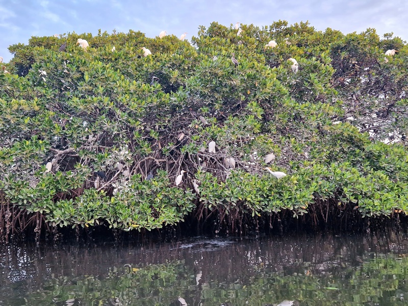 20251225_183106 (Kopiowanie).jpg