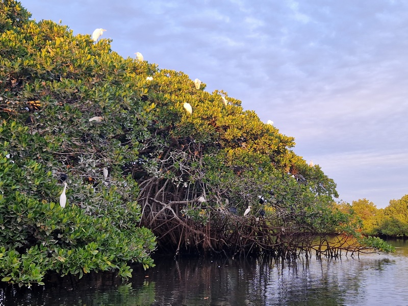 20251225_183154 (Kopiowanie).jpg