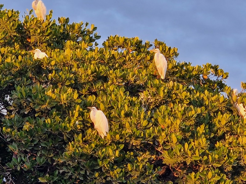 20251225_183223 (Kopiowanie).jpg