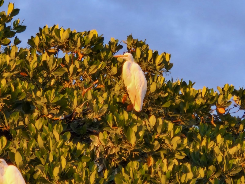 20251225_183227 (Kopiowanie).jpg