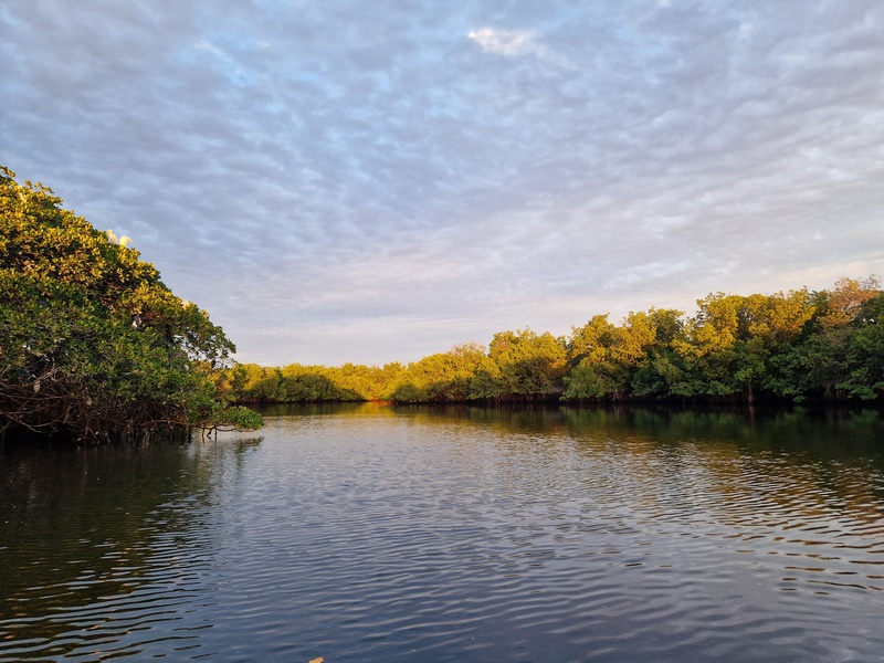 20251225_183236 (Kopiowanie).jpg