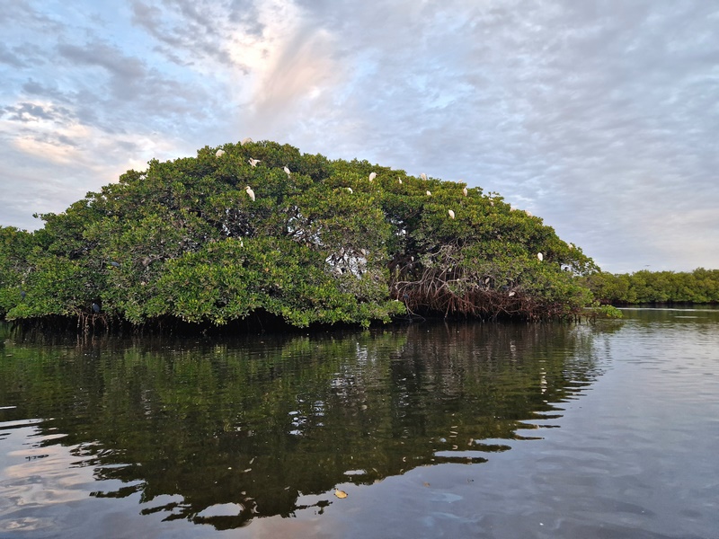 20251225_183611 (Kopiowanie).jpg