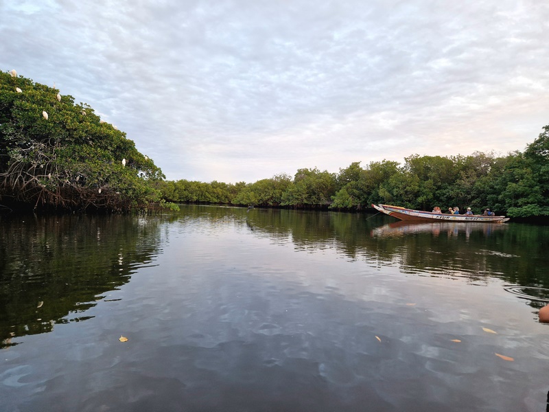 20251225_183628 (Kopiowanie).jpg