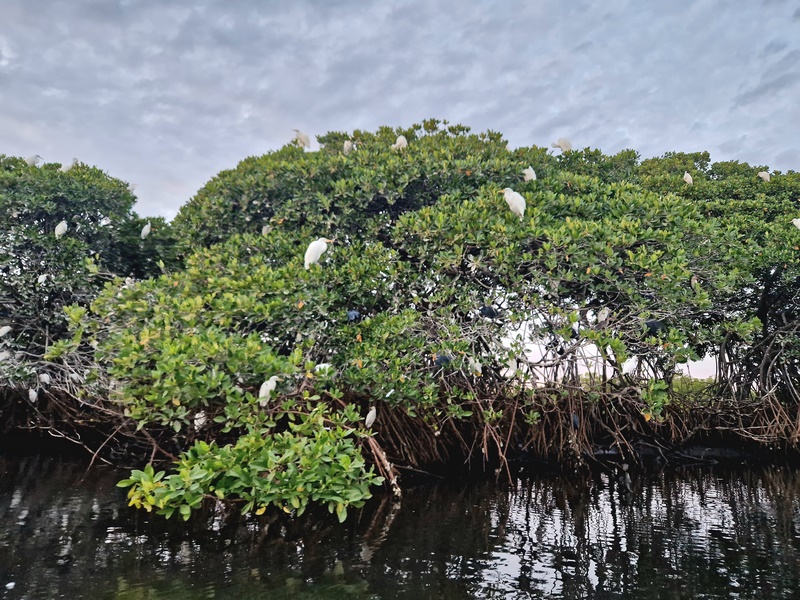 20251225_184402 (Kopiowanie).jpg