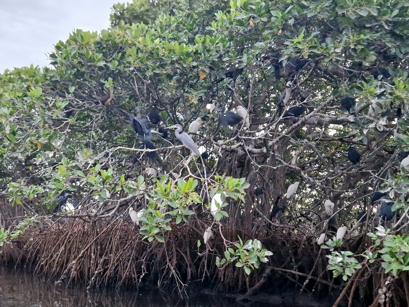 20251225_184531 (Kopiowanie).jpg