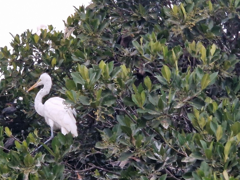 20251225_184601 (Kopiowanie).jpg