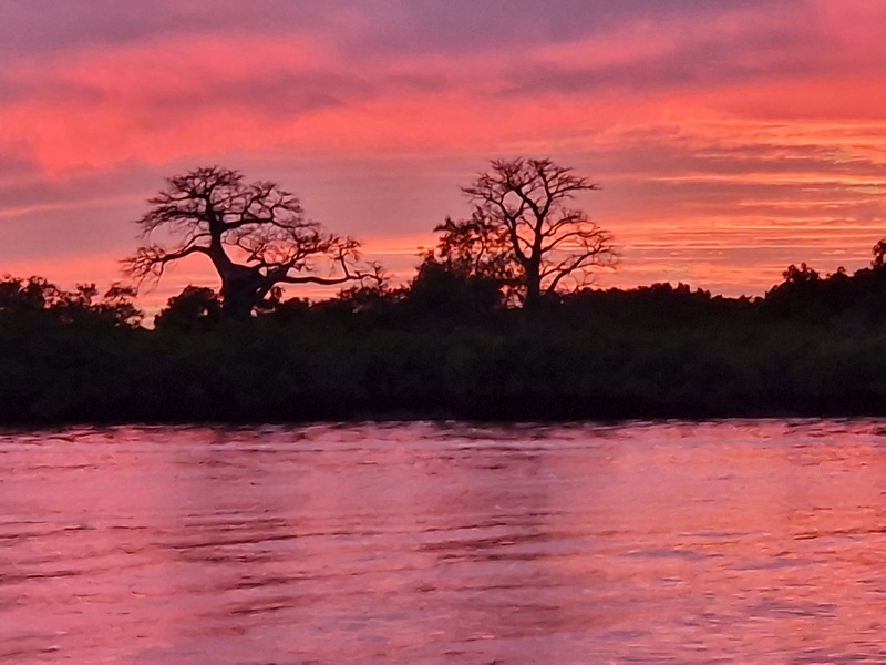 20251225_185433 (Kopiowanie).jpg