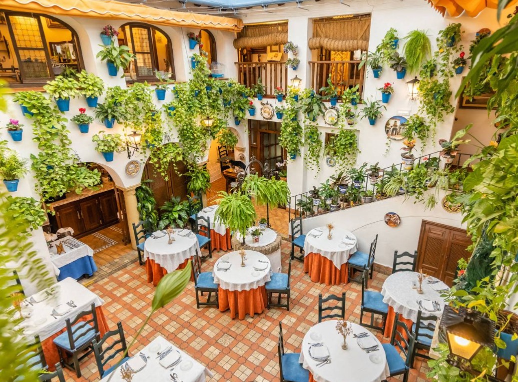 Zrzut ekranu 2026-01-11 061741.jpg